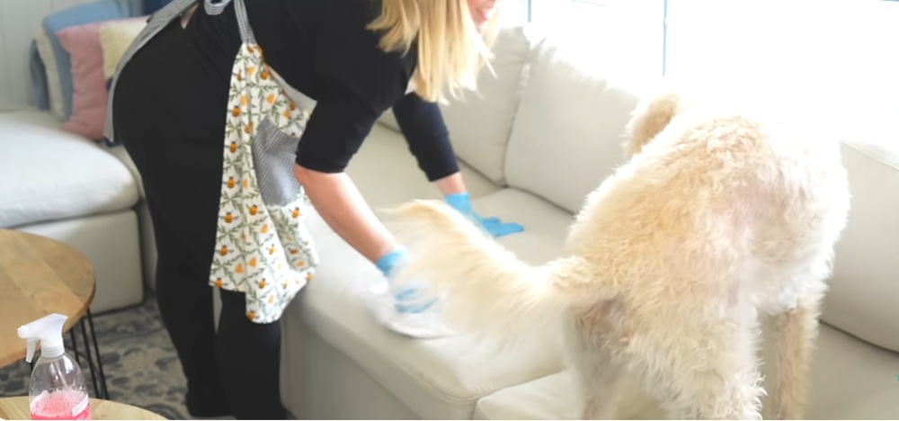 قالیشویی ارزان در غرب تهران